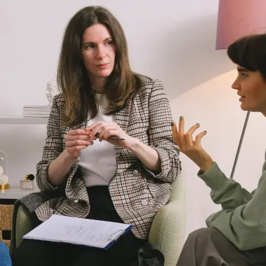 Studios & Franchises